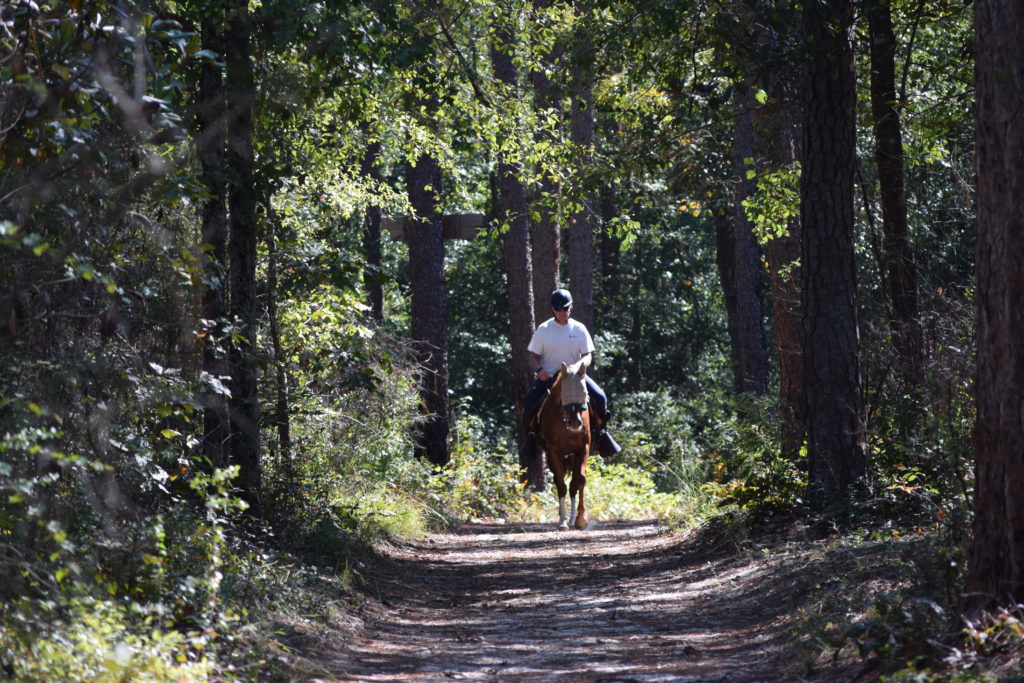 America's Best Equestrian Town - Aiken, SC HItchcock Woods