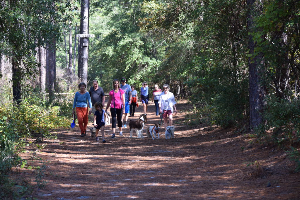 Hitchcock Woods in Aiken, SC