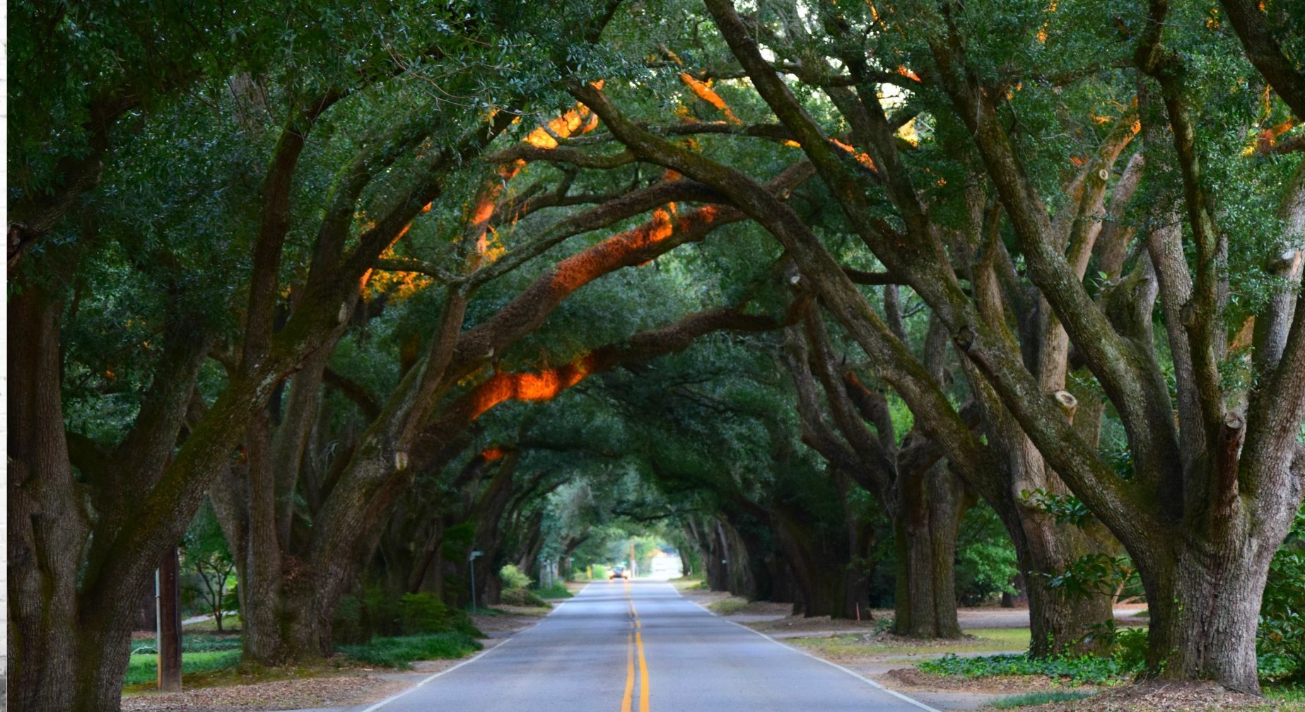 Best Little Shops in Aiken, SC