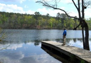 South Carolina Parks