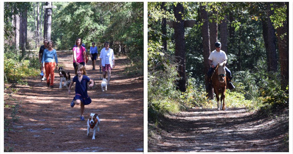 Best Life Aiken