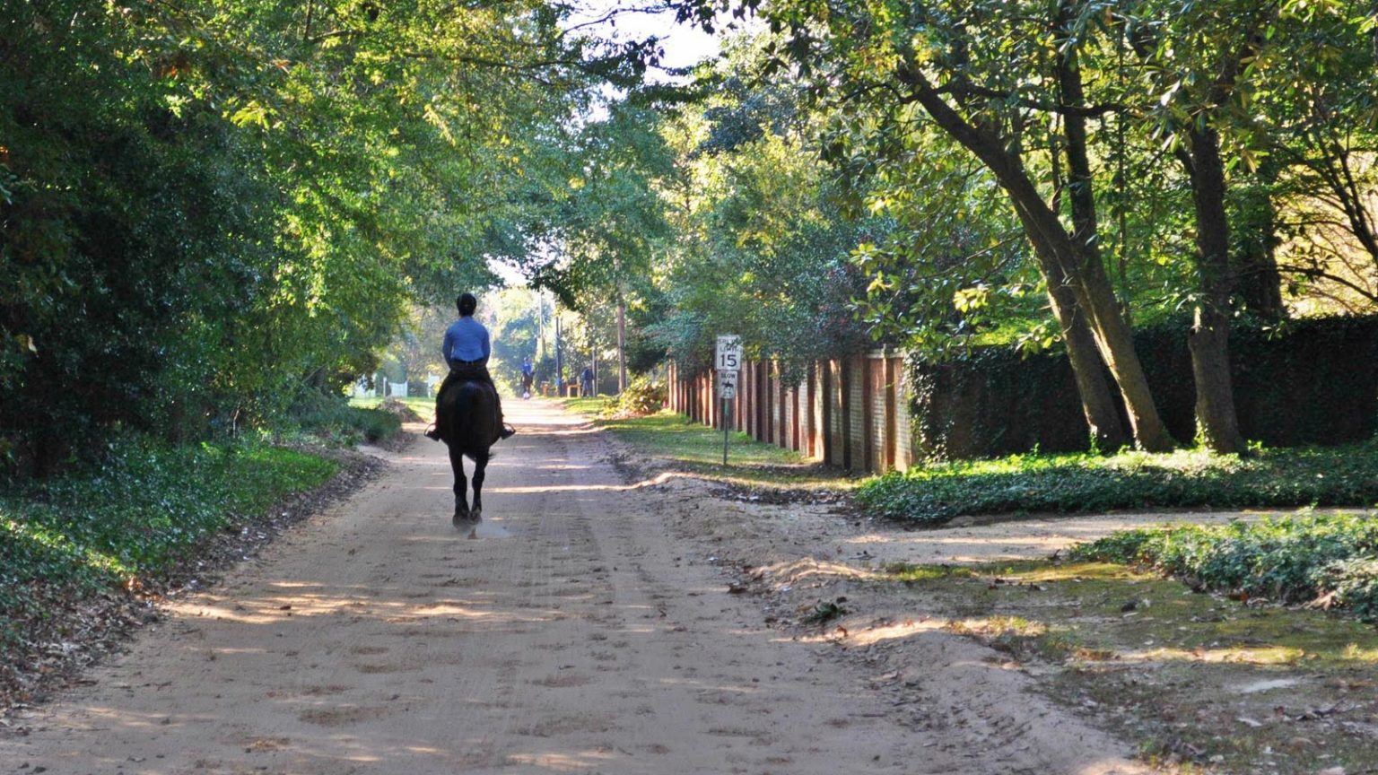 Aiken's Horse District Etiquette • Best Life Aiken